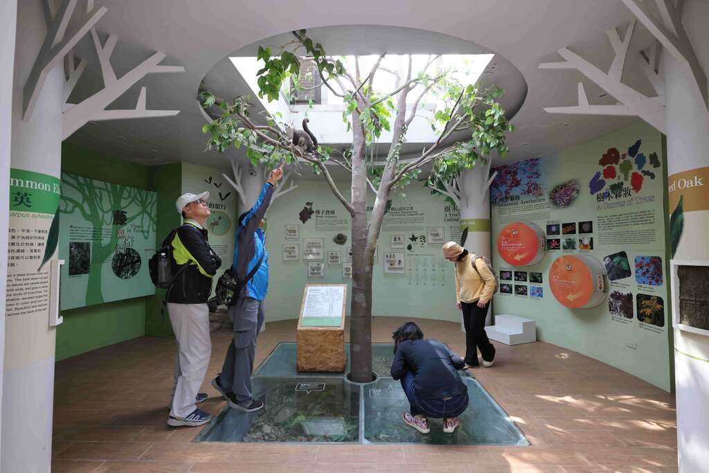 7巴陵古道生態園區