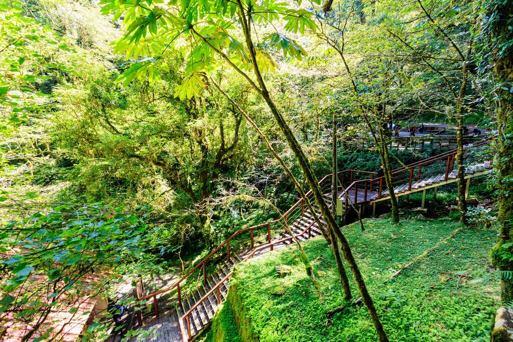 05_拉拉山森林遊樂區