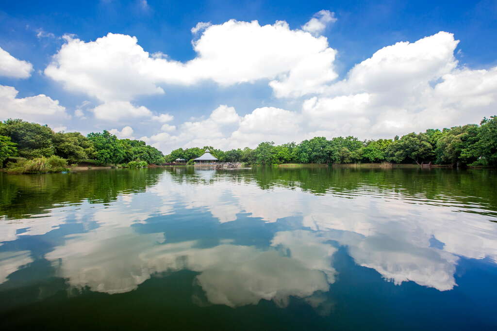 Bade Pond Ecology Park