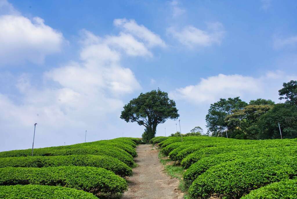 大北坑休闲农业区