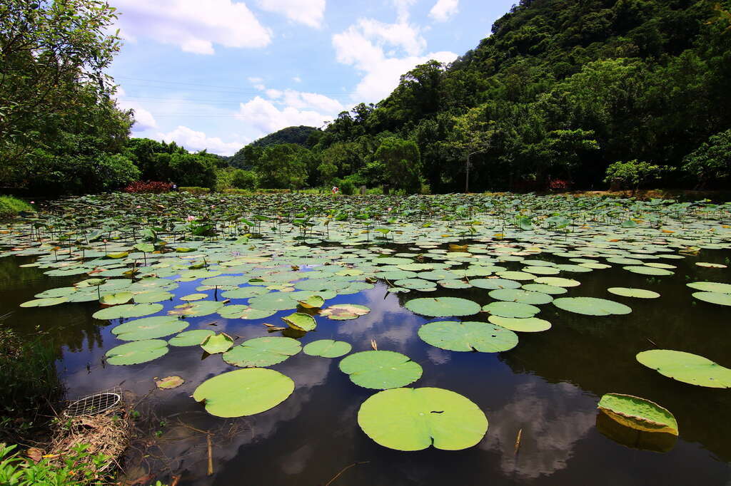 山猪湖生态亲水园区