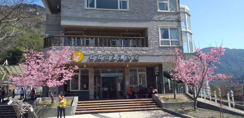 拉拉山遊客中心櫻花照