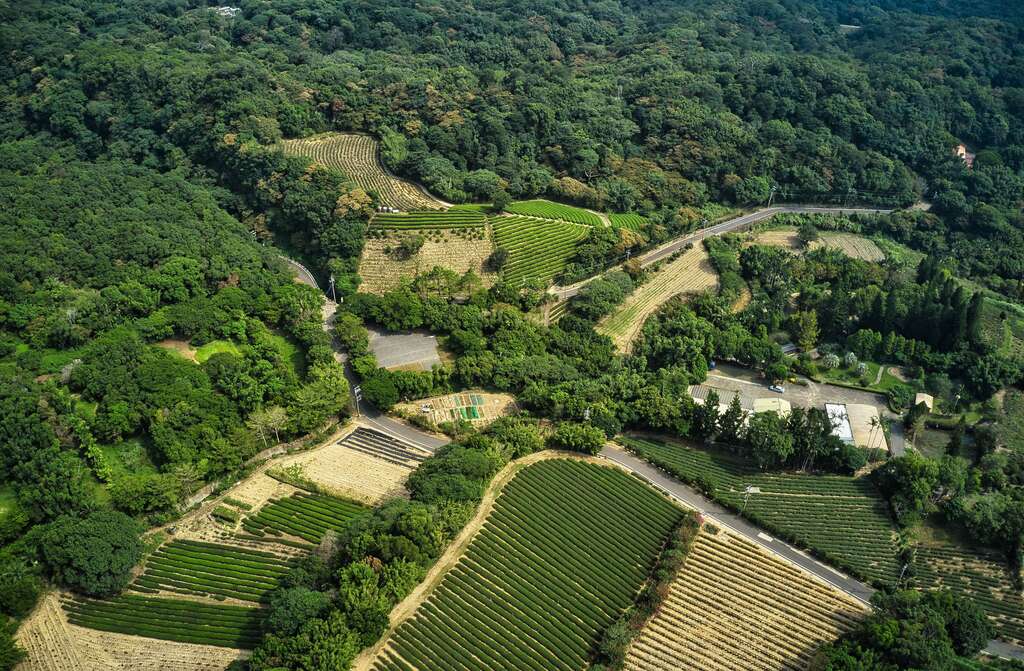 大北坑休闲农业区