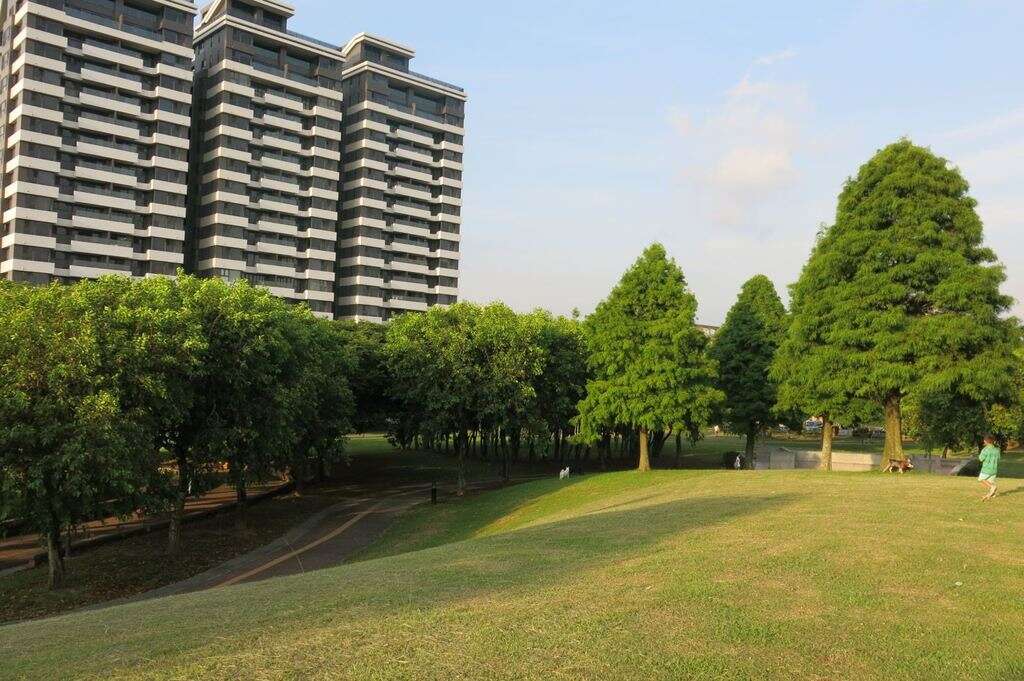 大溪埔頂公園-廣闊的青青草坡,是親子野餐與隨意躺臥的悠閒天堂