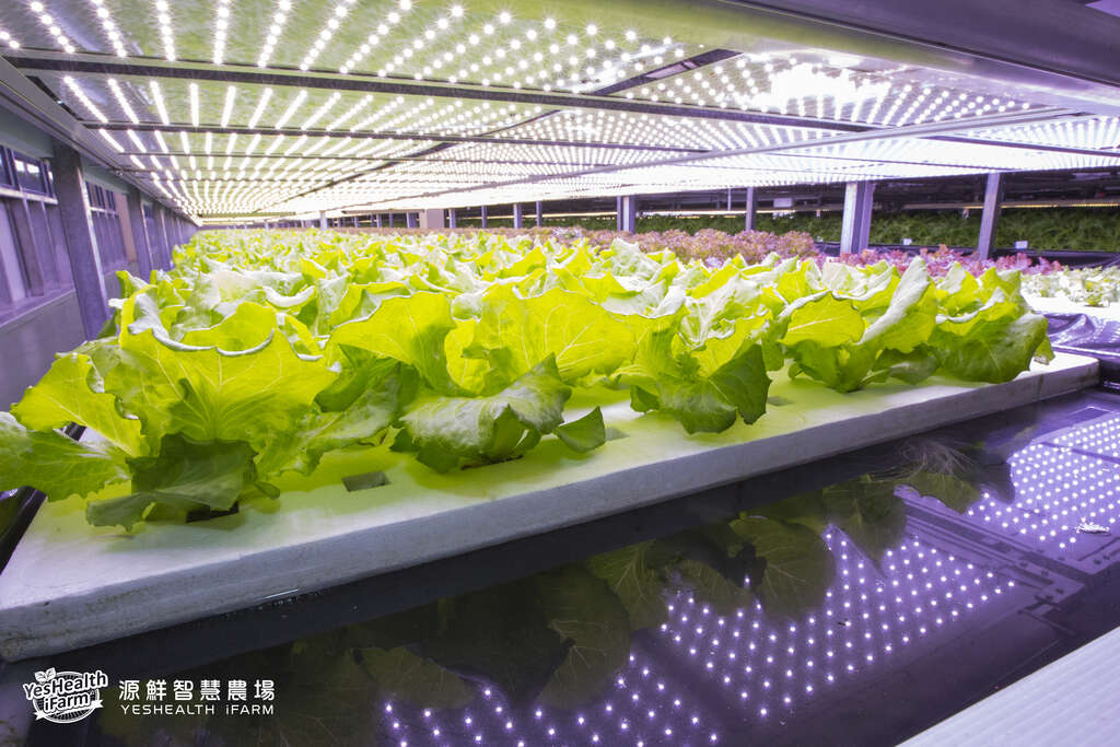 源鮮智慧農場-顛覆想像 品味聽音樂長大的鮮摘蔬食