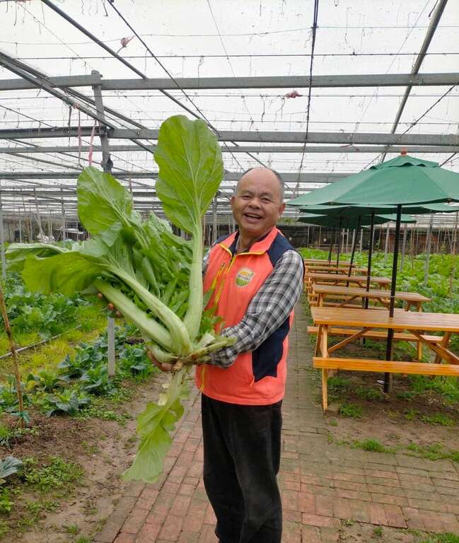 陽榮休閒農場-熱情郭爺爺帶路 一起瘋玩農事體驗