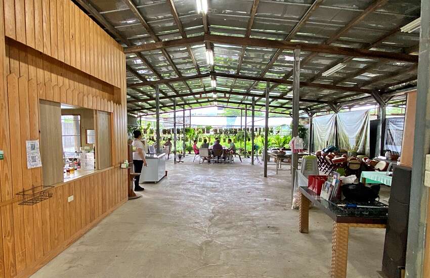 桐興園花園IMG_4902