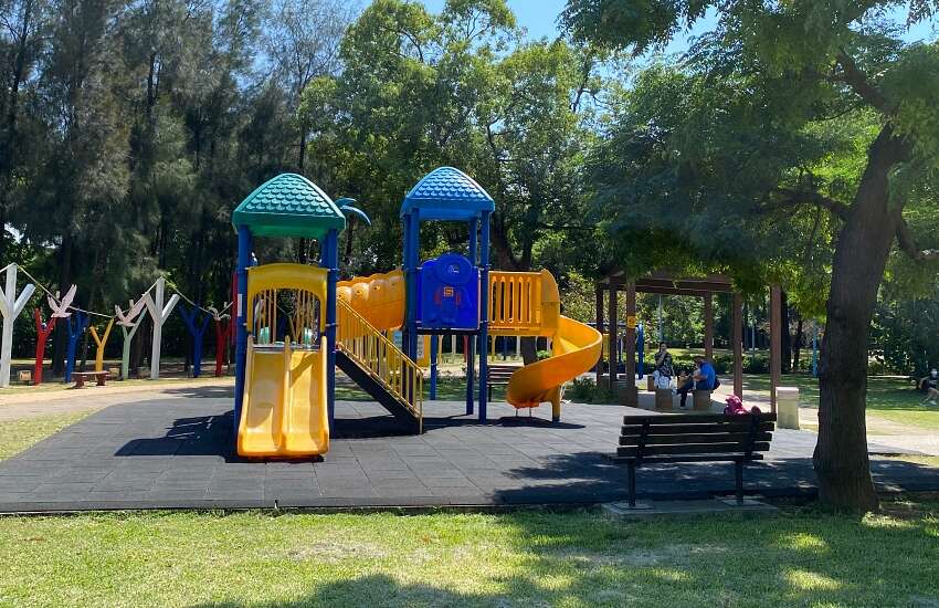 龍岡森林公園 IMG_5473