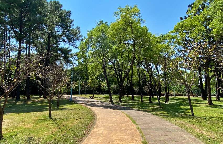 龍岡森林公園IMG_5439