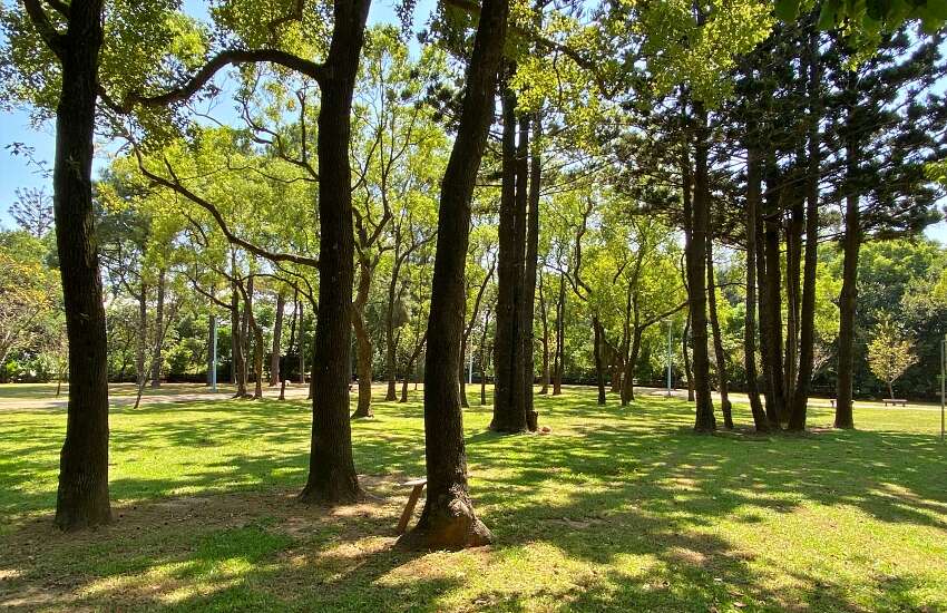 龍岡森林公園IMG_5438