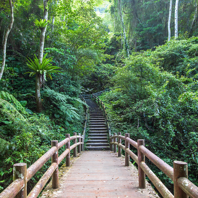 生態步道