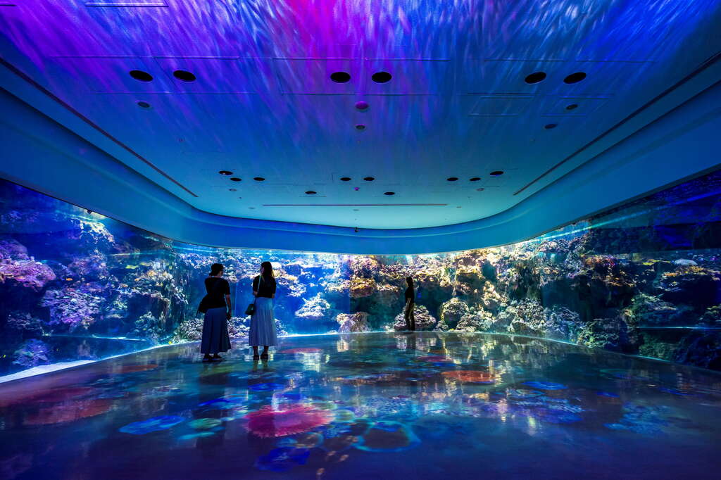 写真: Xpark 八景島水族館 | 桃園観光旅行
