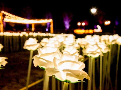 打卡專區-白玫瑰造型燈