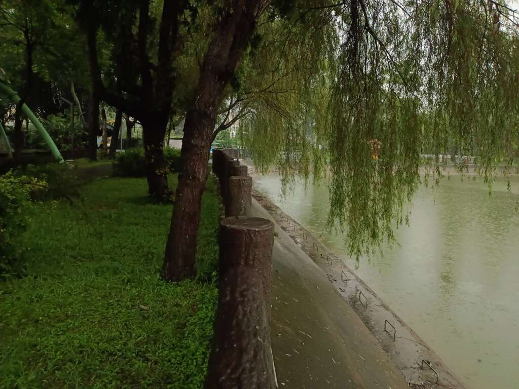 社子埤塘生態公園 thumbnail 2