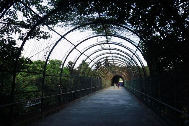 连接公园两侧的空桥
