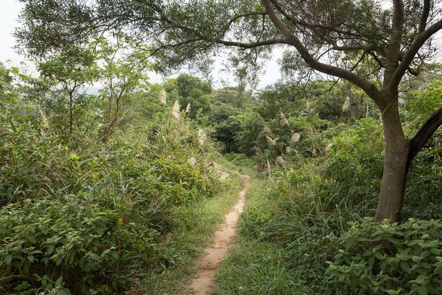 Fengshukeng Hiking Trail