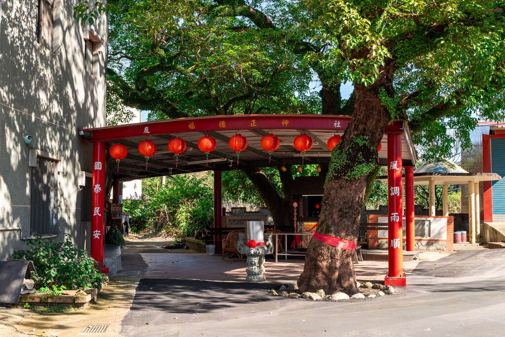 蕃社嶺古道 thumbnail 3