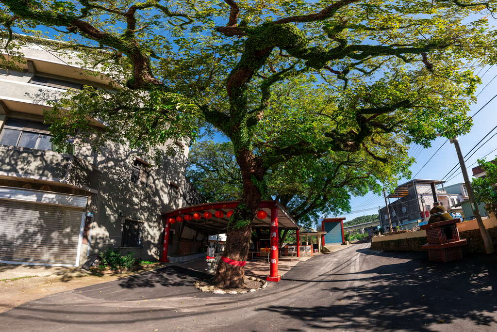 蕃社嶺古道 thumbnail 4