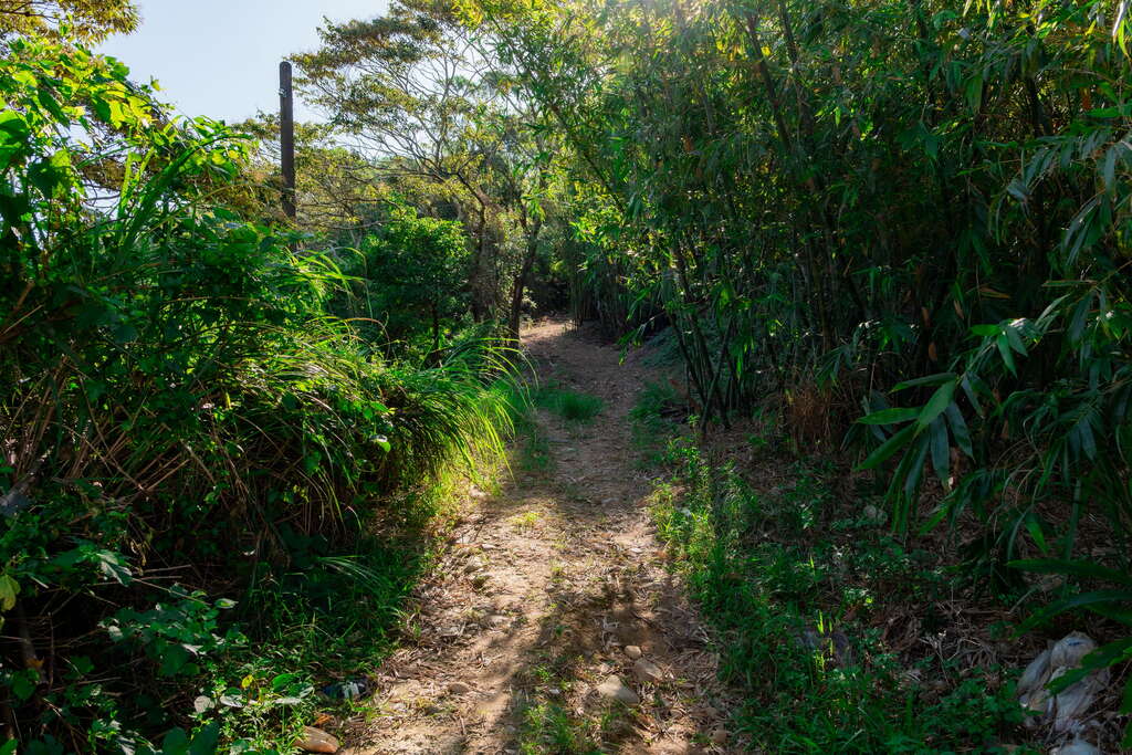蕃社嶺古道 thumbnail 2