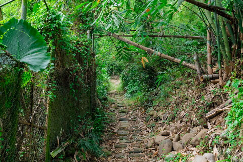 打牛崎古道 thumbnail 6
