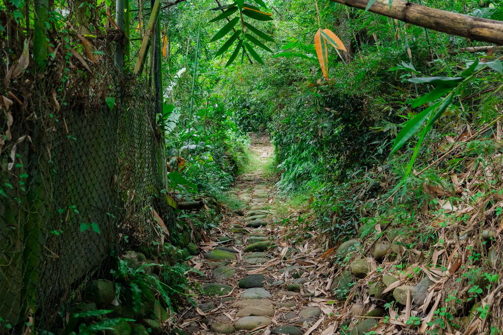 打牛崎古道 thumbnail 7