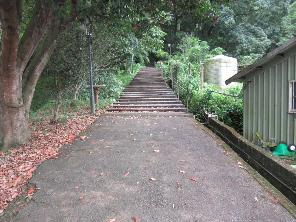 十一指古道 - Image 1