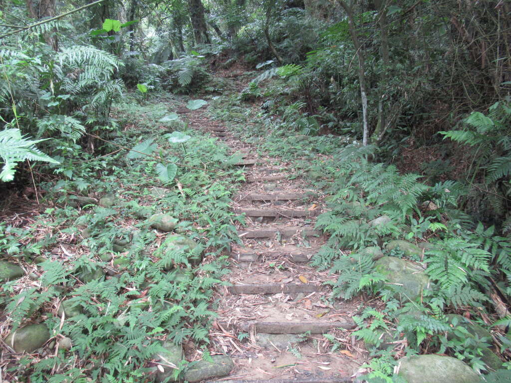 十一指古道 thumbnail 5