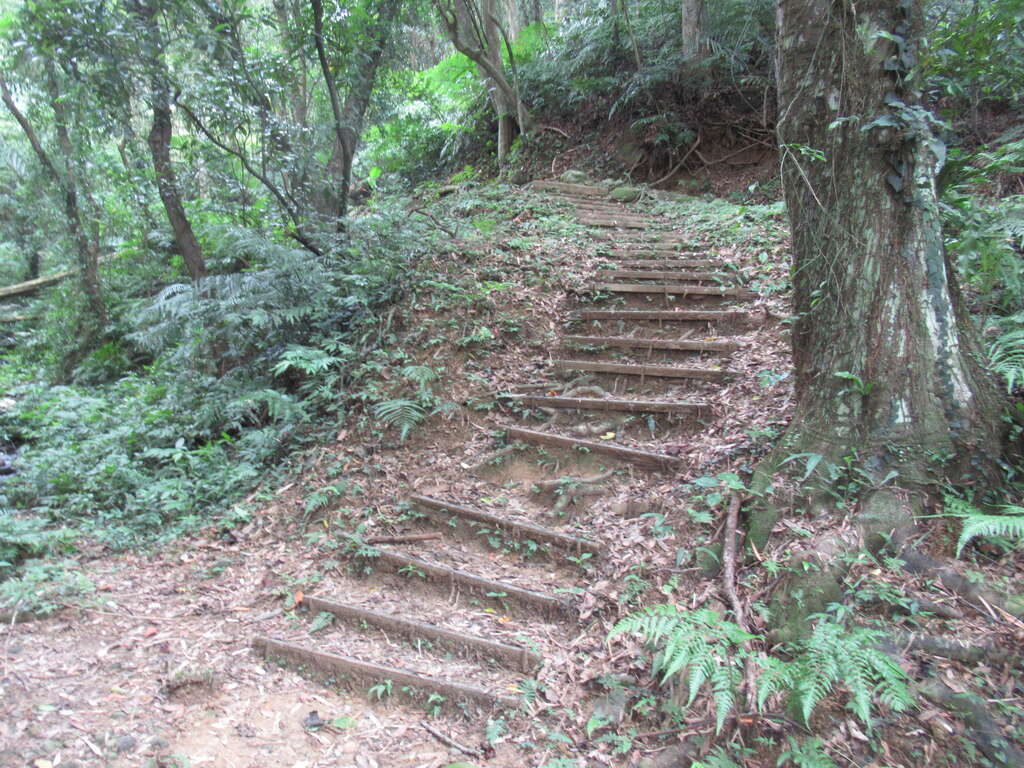 十一指古道 thumbnail 6