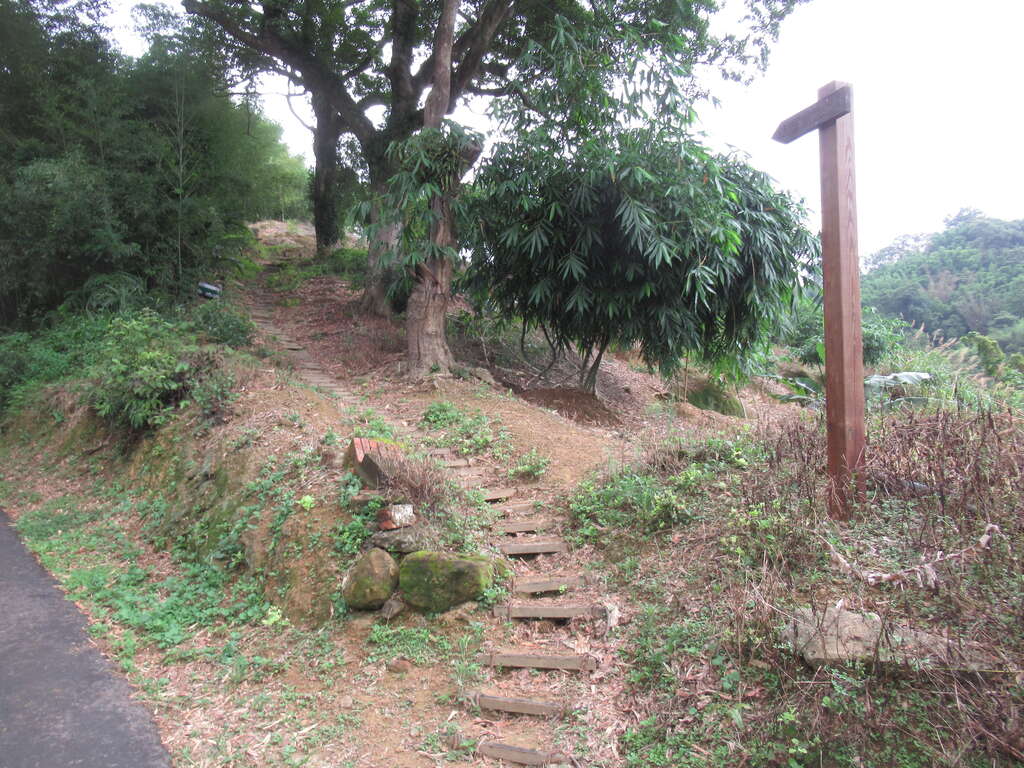 湳仔溝古道(總督府步道) thumbnail 2