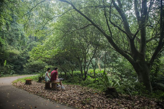 Baiji Tree-Shade Foot Trail(百吉林蔭步道)