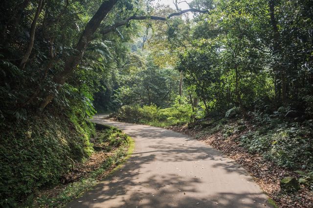 Baiji Tree-Shade Foot Trail(百吉林蔭步道)