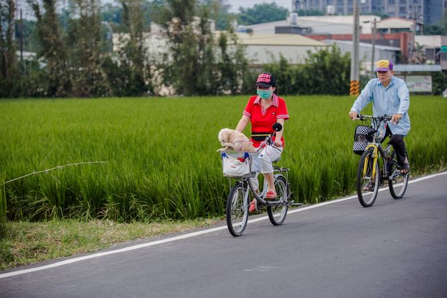 Bade Jiadong Xiaoli Bike Path(八德茄苳霄裡陽光鐵馬道)