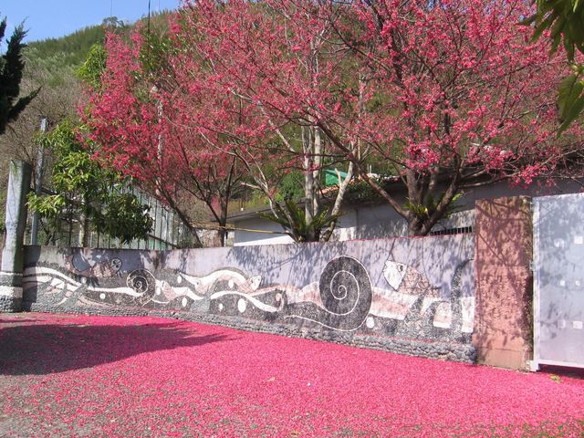 比亚外部落为赏樱热门景点