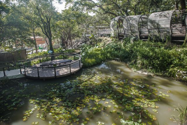 生態水池-打造蛙蛙之家