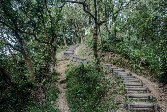 Mt. Dadong Hiking Trail (大棟山登山步道)