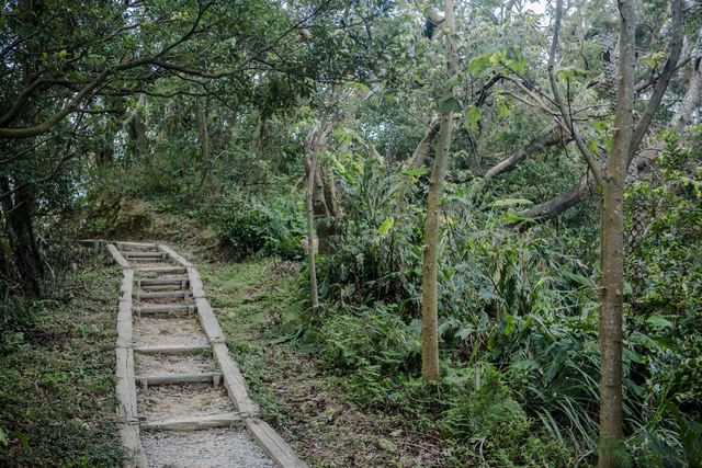 Mt. Dadong Hiking Trail (大棟山登山步道)