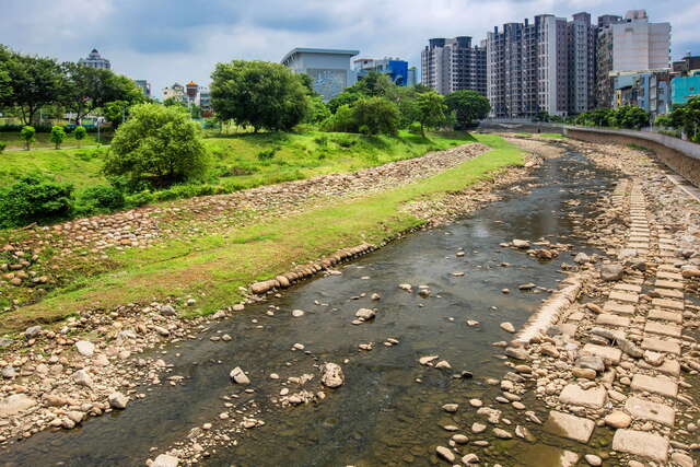 When you walk along the riverbank, you can see the distinctive riverbank ecology.