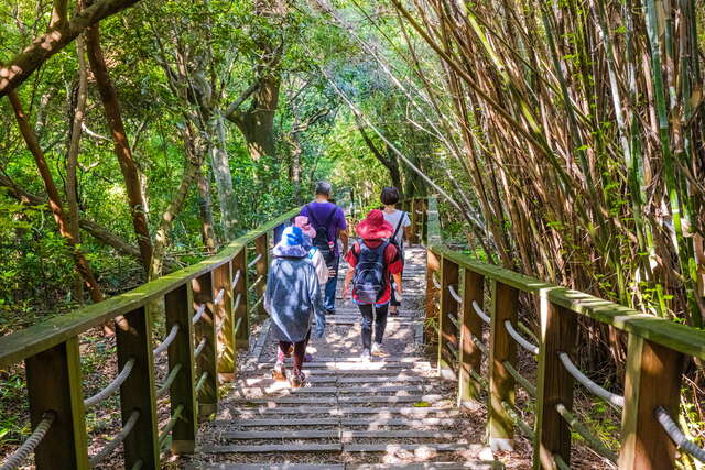 Yangchou Forest Trail (羊稠森林步道)