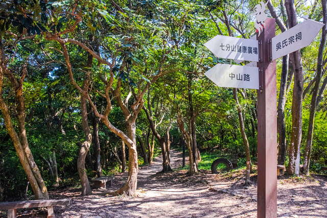 Yangchou Forest Trail (羊稠森林步道)