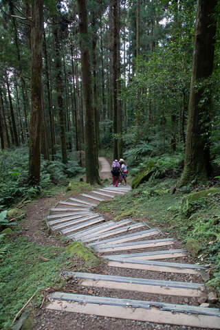 Dongyan Mountain Forest Recreational Area(東眼山森林遊樂區)