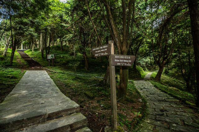 Dongyan Mountain Forest Recreational Area(東眼山森林遊樂區)