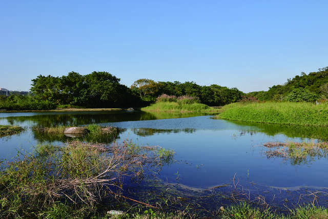月眉人工湿地的主要功能为净化水质