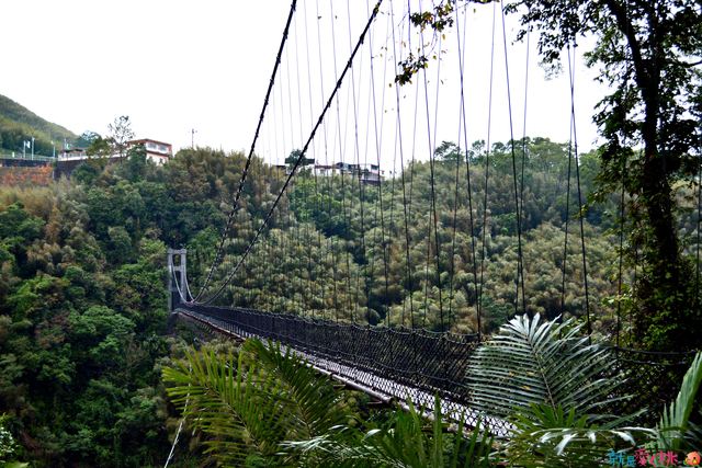 義興吊橋總長約200公尺