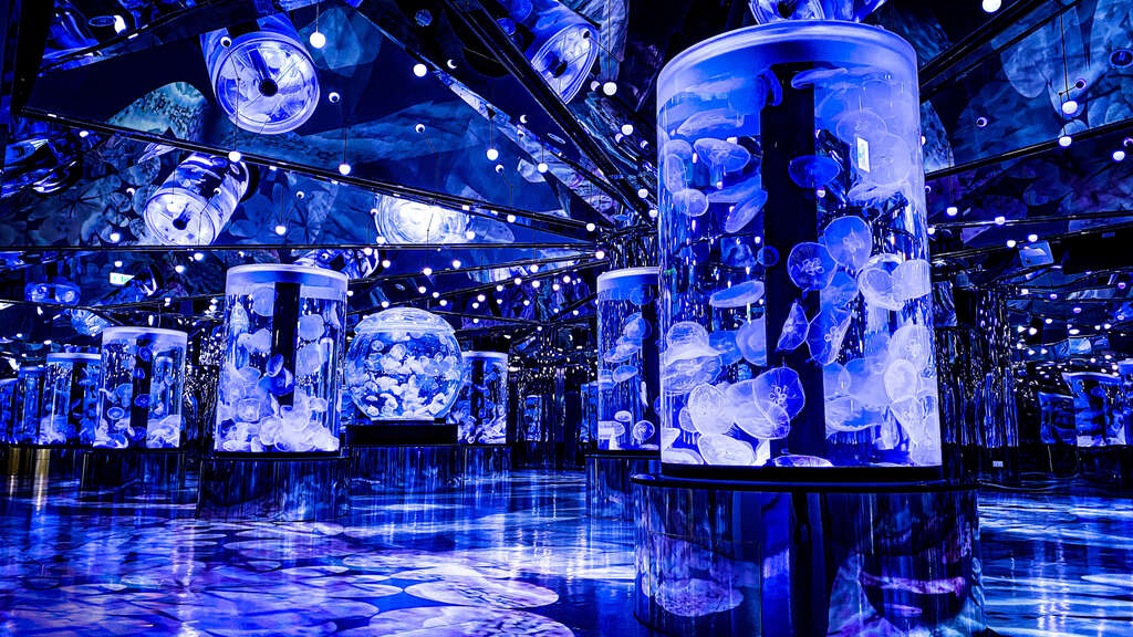 Xpark 八景島水族館 thumbnail 5
