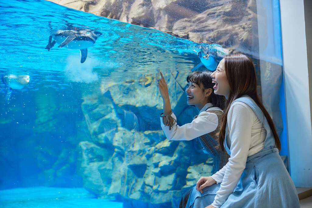 Xpark 八景島水族館 thumbnail 7
