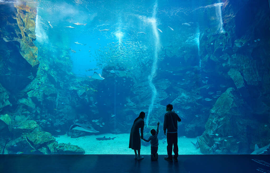 Xpark 八景島水族館 thumbnail 9