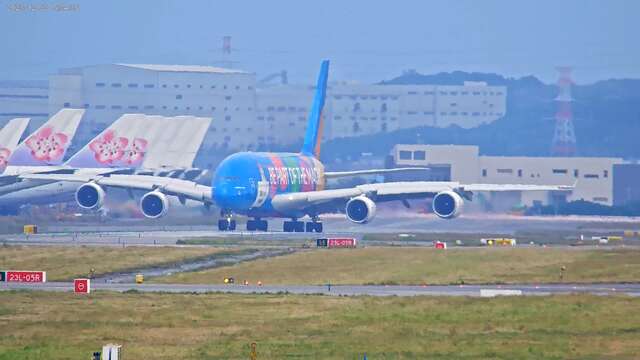 阿聯酋 A380 彩繪機6