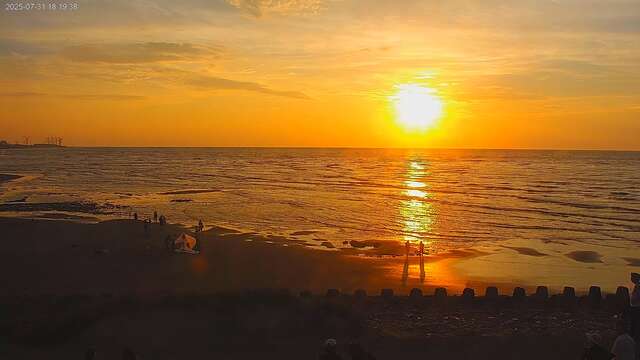 桃園-許厝港濕地