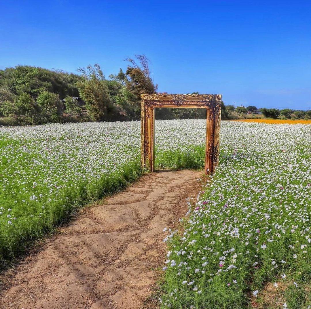 大園｜溪海休閒農業區除了生產農作物以外，園區內一年四季皆有花朵盛開，無論何時來訪都不會讓人失望！不管是騎著單車漫遊田埂路，還是悠然...