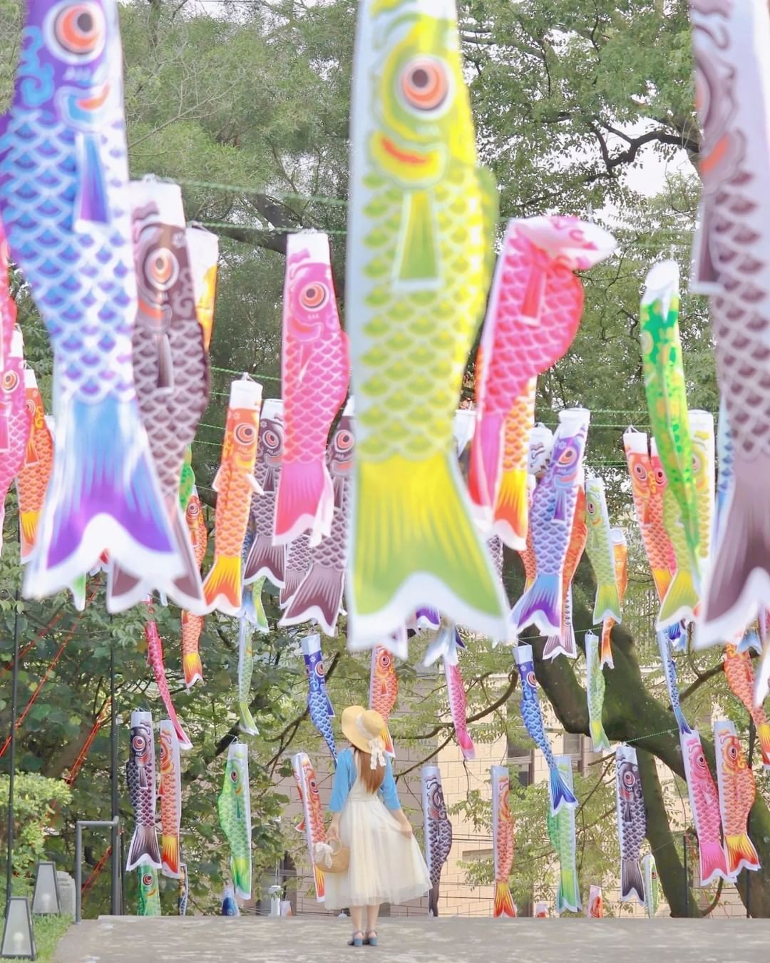 出發穿越江戶時代～「鯉魚流光祭」免費逛！有人發現桃園神社悄悄換上新裝嗎？百面繽紛可愛的鯉魚旗在藍天下愜意飄揚，日本浮世繪展、和菓子...